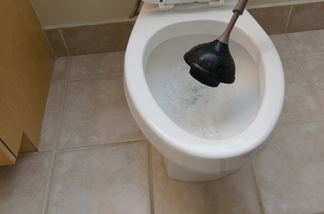 Toilet and a plunger