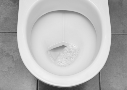 Clearing Clogged Toilets