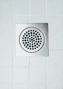Shower drain