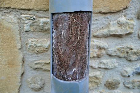 Partial Drain Blockage