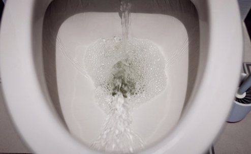 Toilet bowl flush