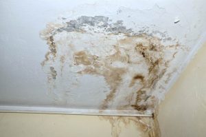 Mold On White Ceiling And Heat Pipe