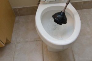 Plunging Toilet