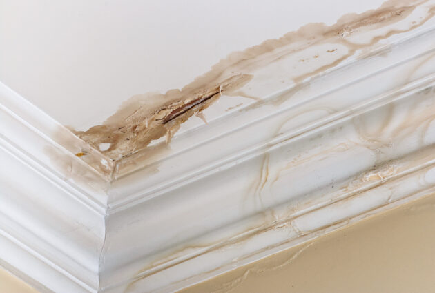 Hidden Leak or Condensation Problem? How to Tell the Difference Before Repairs Start